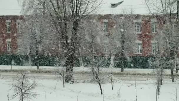 Сильні снігопади в місті на тлі старої цегляної будівлі та дерев. Зимова погода, на відкритому повітрі — стокове відео
