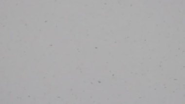 Kışın gökyüzüne karşı kar yağışı. Kar taneleri yavaş çekimde düşüyor. Fırtına. Noel ve Yeni Yıl. İzole edilmiş beyaz gri arkaplan