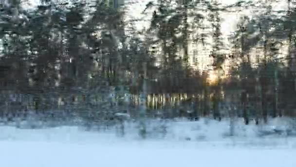 Фон зі сніжного лісу та ялинки, сонячний захід сонця. Вид з вікна автомобіля в русі, морозна погода. Копіювати простір для тексту — стокове відео