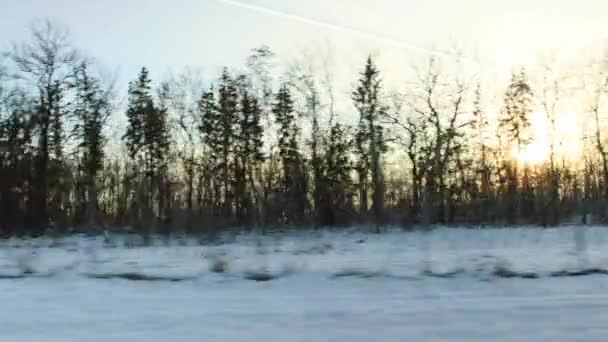 Vista desde la ventana del coche en movimiento en el bosque nevado de invierno en el contexto de una puesta de sol soleada. Hermosa naturaleza de invierno — Vídeos de Stock