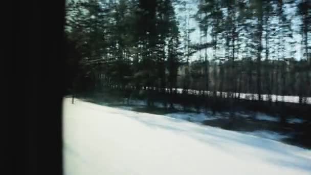 Het uitzicht vanuit het treinraam terwijl u rijdt op de prachtige natuur en het bos, op de achtergrond. Het is lente, er is sneeuw, landschap — Stockvideo