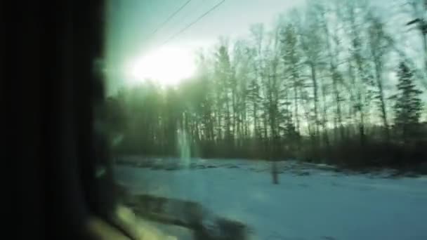 Zicht vanuit het treinraam, felle zon en sneeuw. Prachtig bos en ontdooide sneeuw, achtergrond, winter — Stockvideo