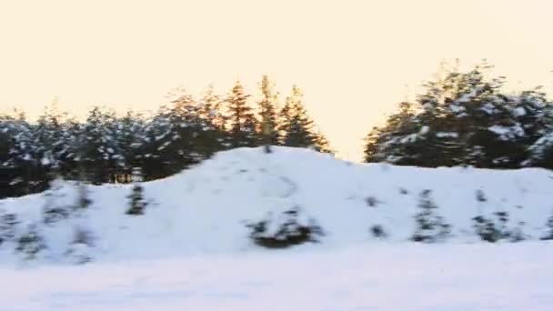 Günbatımı arka planında güzel bir kış manzarası ve orman. Hareket halindeki arabanın görüntüsü. Çok fazla kar var. Metin için alanı kopyala — Stok video