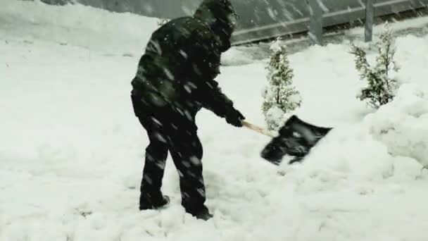 En man i svart jacka med spade tar bort snö på vintern i snöfall, bakgrund — Stockvideo