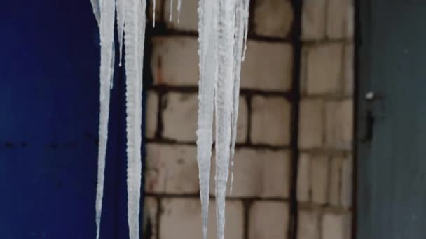 Grandi ghiaccioli pendono dal tetto in inverno con tempo gelido, primo piano. Contesto — Video Stock