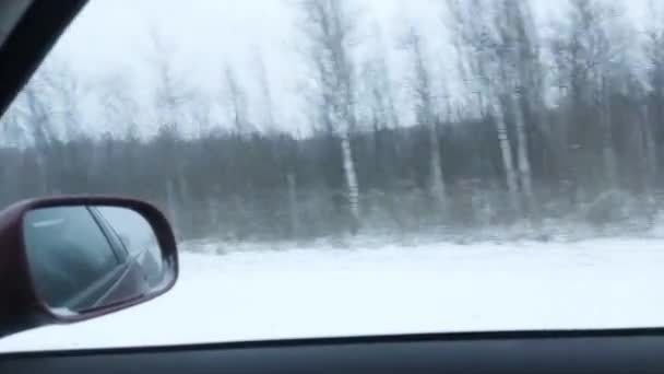 बर्फबारी के बाद सर्दियों में बर्फीले जंगल पर चलने वाली कार के साइड यात्री ग्लास से दृश्य। सुंदर प्रकृति, पृष्ठभूमि — स्टॉक वीडियो