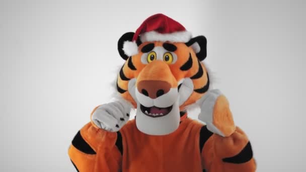 Homem de traje de tigre e santas danças chapéu vermelho em um fundo de inverno branco. Símbolo de 2022 Ano Novo. Modelo masculino em boneca de crescimento olhando na câmera. Um tipo com roupas engraçadas. Zodíaco chinês, sinal de calendário — Vídeo de Stock