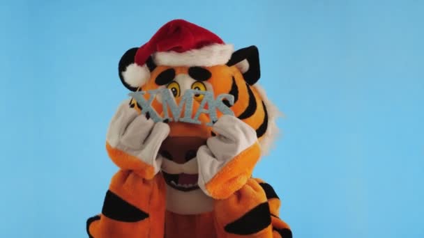 Symbol Nowego Roku 2022. Mężczyzna w stroju tygrysa z Mikołajem czerwony kapelusz posiada napis Boże Narodzenie w łapach i tańce na niebieskim tle zimowym. Męski model w lalce wzrostu. Chiński zodiak, znak kalendarzowy — Wideo stockowe