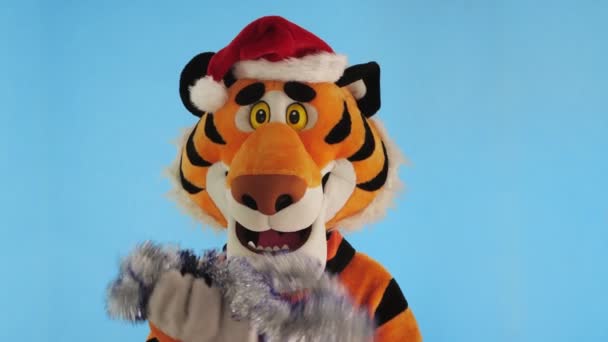 Homme en costume de tigre avec santas chapeau rouge met tinsel fripperie dans sa bouche. Symbole du Nouvel An 2022. Modèle masculin en poupée de croissance. Zodiaque chinois, signe du calendrier. Décoration d'arbre de Noël — Video