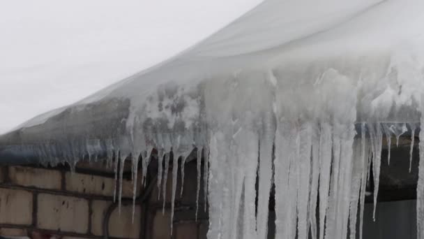霜の多い天候では、冬の屋根から大きなつららがぶら下がっています。背景 — ストック動画