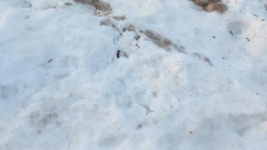 Yol ayıracı ve eritilmiş asfalt yolu ile kirli kar. Metin için alanı kopyala