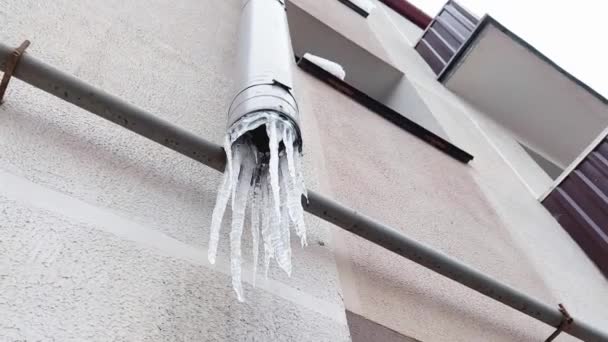 Frozen icicles hang in winter on a drainpipe on the wall of the house, outdoors — Stock Video