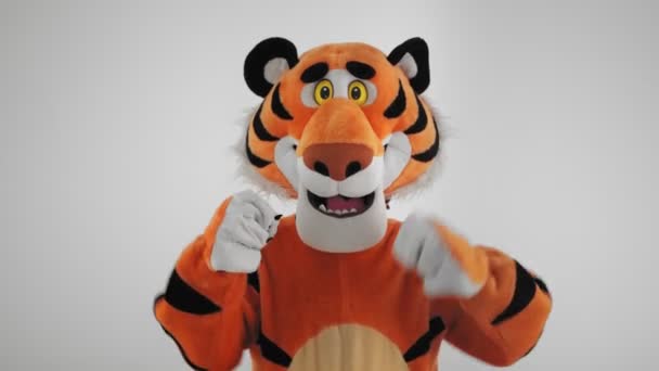 Homme en costume de tigre danse sur un fond blanc d'hiver. Symbole du Nouvel An 2022. Modèle masculin en poupée de croissance regardant à la caméra. Un type en habits drôles. Zodiaque chinois, signe du calendrier. Concept de Noël — Video