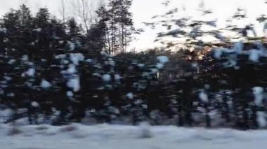 Kış ormanı arabasındaki yolcunun penceresinden gün batımının arka planında kar altında.