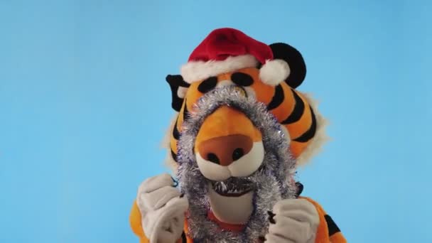 Mężczyzna w kostiumie tygrysa w czerwonym kapeluszu Mikołaja i błyskotki tańczy na niebieskim tle zimowym. Symbol Nowego Roku 2022. Męski model w lalce wzrostu. Chiński zodiak, znak kalendarza. Dekoracja choinki — Wideo stockowe