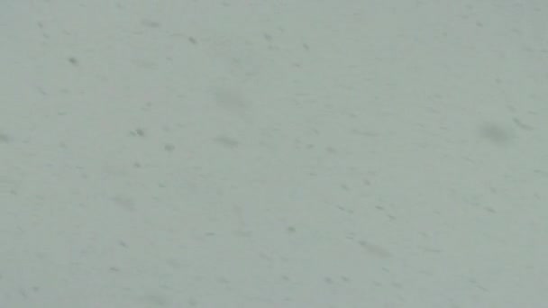 Сильный снегопад на небе. С неба падают большие хлопья снега. Погода зимой, фон — стоковое видео