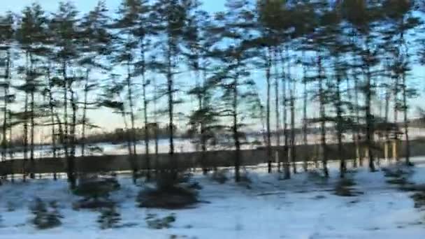 Krásný zimní les, výhled z okna auta v pohybu, zázemí. Sníh na větvích stromů v mrazivém počasí večer, dobrodružství — Stock video