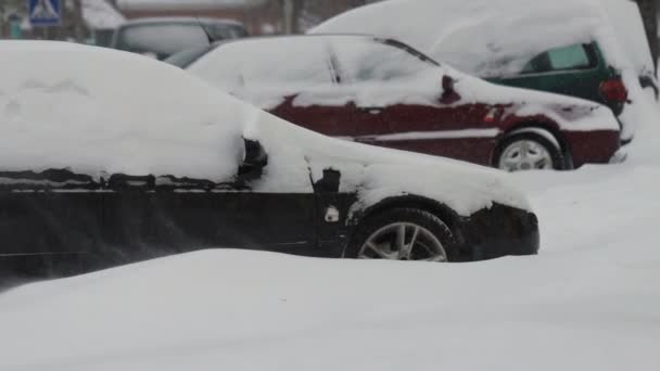 Inverno. Os carros estacionados estavam cobertos de neve. Um vento forte está soprando. Uma queda de neve em câmara lenta. Condições meteorológicas desfavoráveis para o trânsito, nevasca. Perigo de acidentes rodoviários. Estrada cruzada — Vídeo de Stock