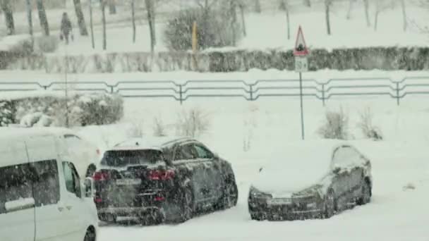 Kar yağışı sırasında şehirdeki bir otoparkta karla kaplı arabalar. Arabaların arka planında kar taneleri, park edilmiş — Stok video