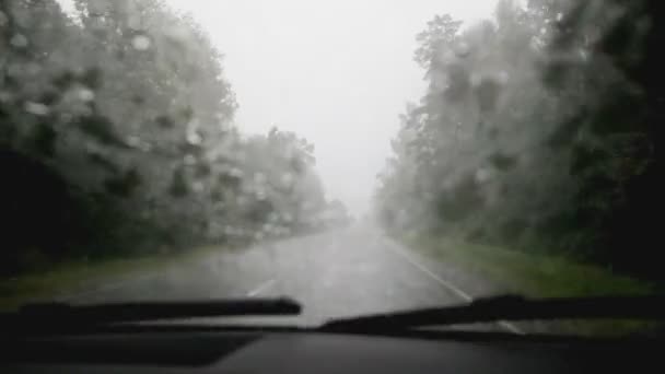 Vista desde un coche que se acerca en un camino mojado y resbaladizo bajo la lluvia. Camiones con faros. Aquaplaning en el camino, mala visibilidad. — Vídeo de stock