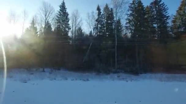 Utsikten från fönstret av tåget i rörelse på vintern skogslandskap i snön mot bakgrund av den frostiga solen. Kraftledningar, vacker natur resa — Stockvideo