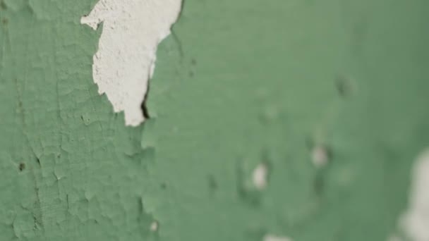 Старая стена окрашена зеленой краской, кусочки очищенной краски, крупным планом — стоковое видео