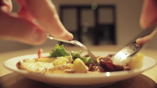Человек режет мясо в тарелке и ест жареную картошку с овощами на гриле в ресторане, крупным планом — стоковое видео