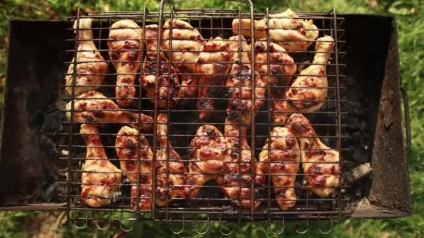 Gefrituurde kippenpoten op een grill in de zomer buiten. Heerlijk vlees met een korst, buitenrecreatie, close-up — Stockvideo