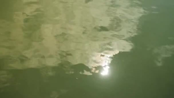Odbicie słońca w wodzie zielonego jeziora, tło. Promienie słońca — Wideo stockowe