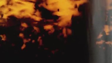 Şeffaf bardakta demlenmiş çay, yakın plan. Siyah çay.