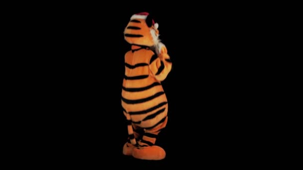 Mężczyzna w stroju tygrysa z Mikołajami czerwony kapelusz tańczy i skacze na miejscu wokół jego osi na czarnym tle. Symbol Nowego Roku 2022. Lalka wzrostu. Facet w śmiesznych ciuchach. Chiński zodiak, znak kalendarzowy — Wideo stockowe