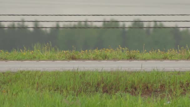 Auto wielen op een natte weg in de zomer na regen, achtergrond. Close-up — Stockvideo
