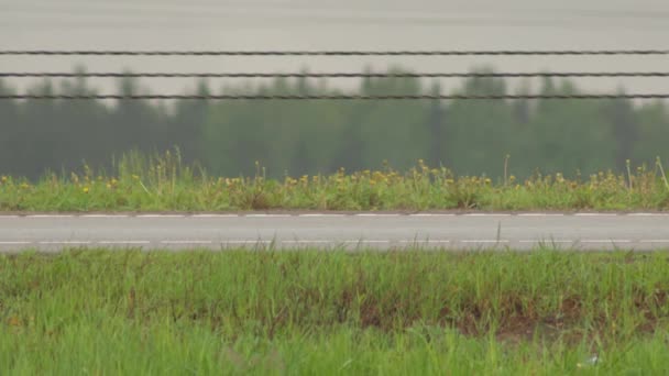 Autoräder auf nasser Straße im Sommer nach Regen, Hintergrund. Nahaufnahme — Stockvideo