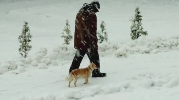 Stomme oude man laat zijn hond aan de leiband door de straat in de winter — Stockvideo