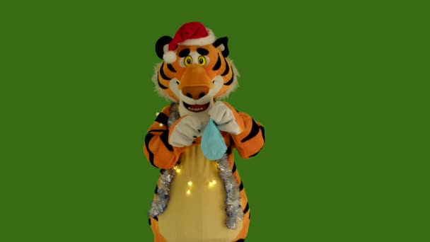 Тигр в красной рождественской шляпе пытается надеть защитную медицинскую маску на нос. Новый 2022 год с коронавирусной болезнью, COVID-19 пандемический. Зеленый экран chromakey 4: 2: 2 10 бит. Кукла роста — стоковое видео