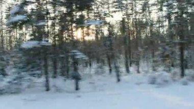 Karlı ormanlardan ve köknar ağaçlarından, güneşli günbatımından. Hareket halindeki araba penceresinden manzara, soğuk hava, seyahat