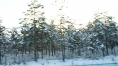 Güneşli bir günbatımının arka planında kış karlı ormanında hareket halindeki araba penceresinden görüntü. Güzel kış doğası