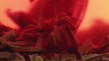 Siyah çay yaprakları şeffaf bir kupada yüzer. Siyah çay yapıyorum makro.