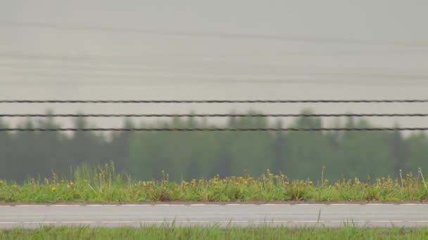 En lastbil med påhängsvagn kör längs en blöt motorväg i regnet, närbild. Kopiera utrymme för text — Stockvideo