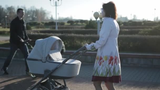 Una joven hermosa está caminando en un día soleado en otoño en la calle con un carro de bebé. Caminar con un bebé recién nacido, maternidad — Vídeo de stock