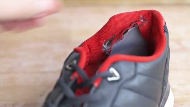 Gescheurd in sportschoenen, close-up. Lage kwaliteit sneakers, gescheurd — Stockvideo