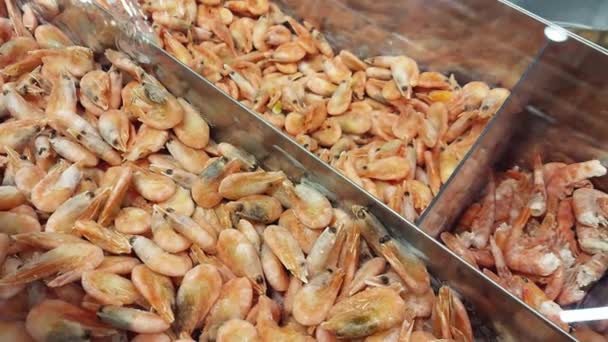 Prodávat zmrazené krevety v obchodě na vitríně. Zdravé mořské plody — Stock video