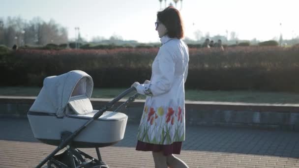 Hermosa chica caucásica joven madre caminando en el parque con un carro de bebé al aire libre, fondo. — Vídeo de stock