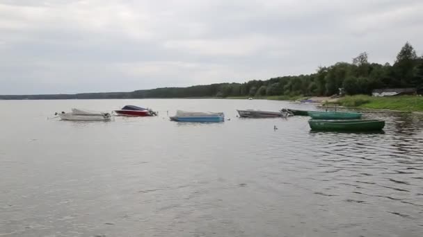 Viele Boote auf dem See bei trübem Wetter vor dem Hintergrund des Waldes, Natur — Stockvideo