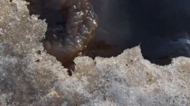 Su birikintisi Kirli su, karlı bir buz tabakasının altında akar. Kış sonrası ilkbahar. Sıfırın üstünde. Çamurlu. Güneşli bir gün. Üst görünüm