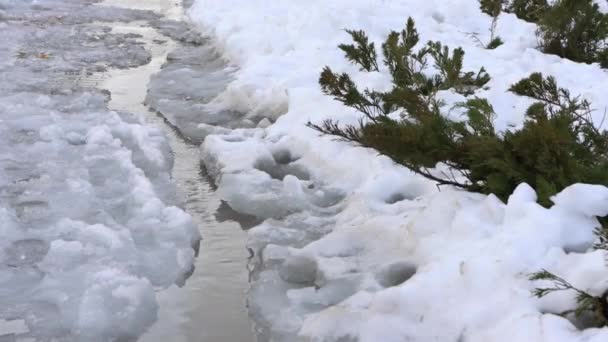 도시의 봄에 내린 눈이 녹고 있습니다. 시내로 물길 이 흐른다. 봄 과 배경의 시작 — 비디오
