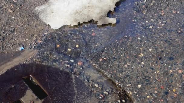 Baharda sokakta eriyen karlar. Su birikintilerinden ve şehrin sokaklarından kanalizasyona su akıyor. İlkbahar — Stok video