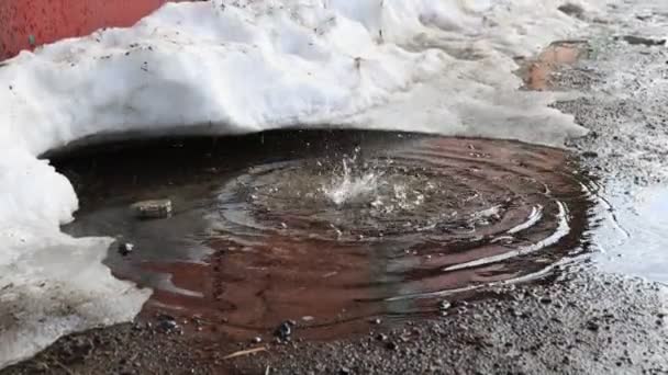 Drops of water drip into a melted puddle of snow. The beginning of spring, close-up. Slow motion, outdoors — Stock Video