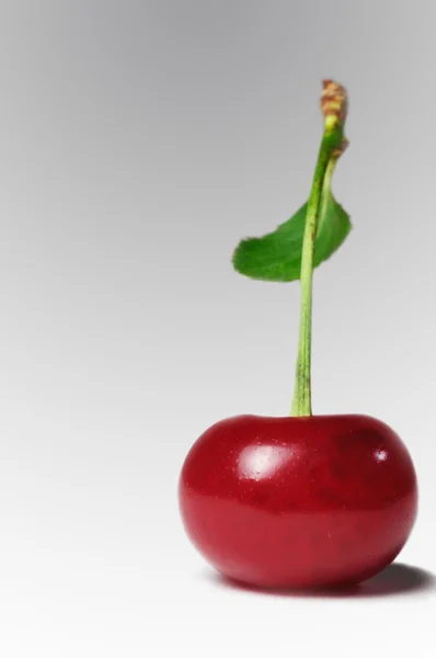 Cherry — Stock Photo, Image