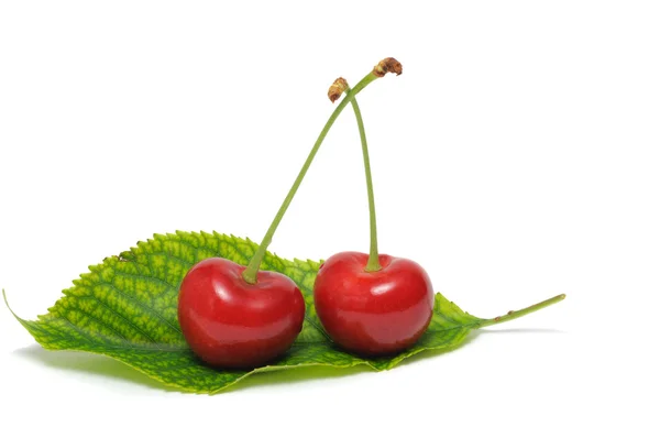 Cherry — Stock Photo, Image